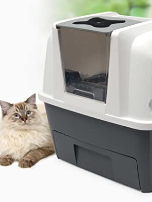 catit