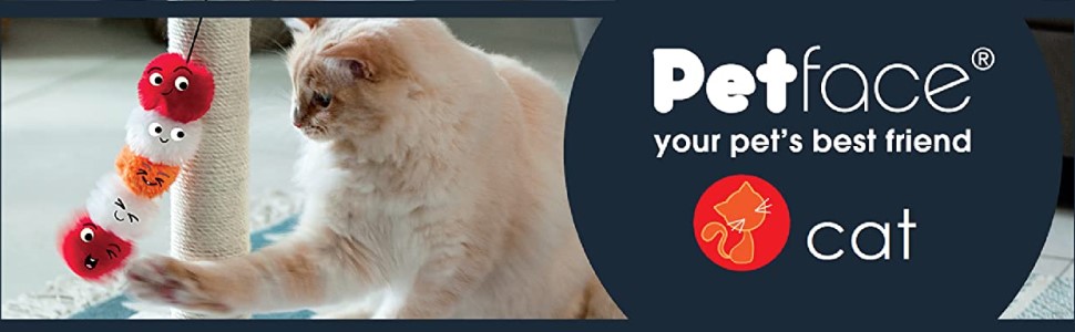 Petface Katze