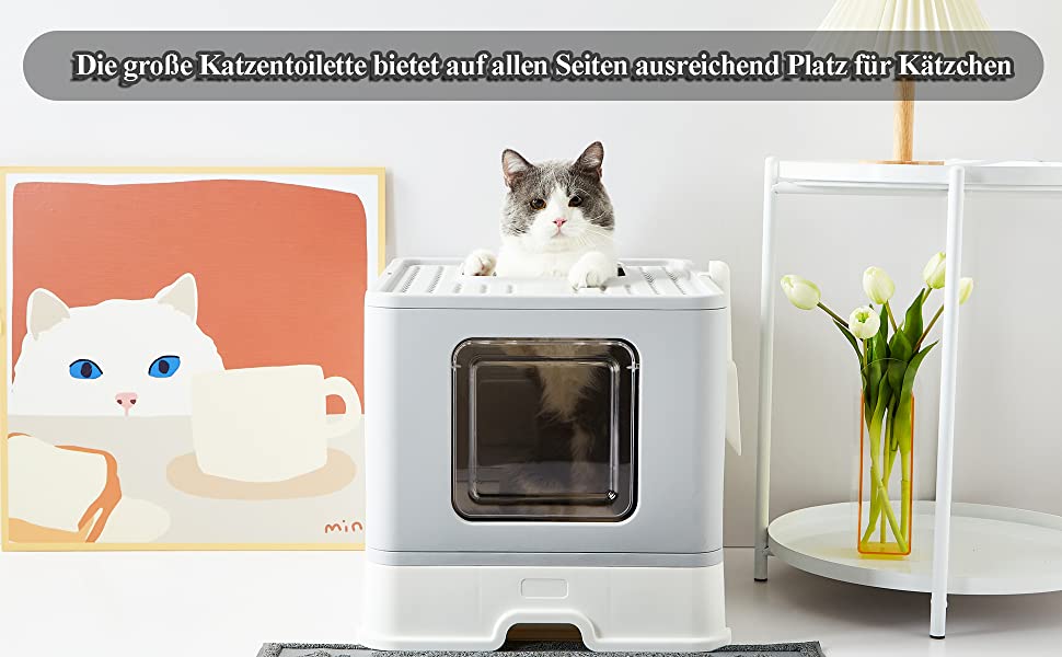 Katzentoilette