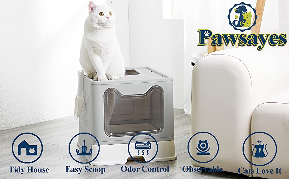 cat litter box