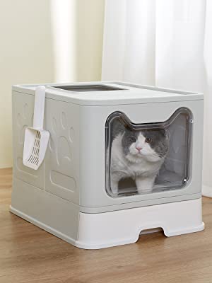 litter box