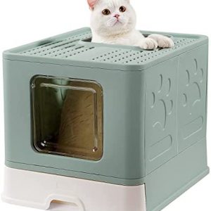 Pawsayes Katzentoilette Mit Abdeckung XXL, Katzenklo Oben einstieg mit Löchern im Deckel für Große Katzenrassen oder Muti-Katzen (Grün)