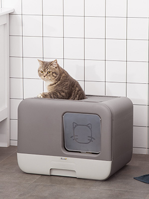 Pawhut Katzentoilette mit Haube 2 Ausgänge Haustiertoilette Katzenklo herausnehmbare Bodenwanne Grau