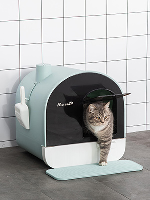 PawHut Katzentoilette mit Haube für Katzen bis 5 kg Katzenklo mit Deckel Ktzenstreu Matte Kunststoff