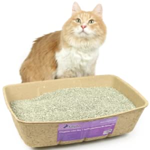 KittyDoo Katzenklo Katzentoilette Katzenstreu Sauberkeit Hygienisch