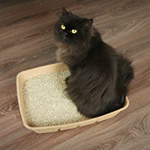 KittyDoo Katzenklo Katzentoilette Katzenstreu Sauberkeit Hygienisch