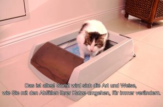 ScoopFree® selbstreinigende Katzentoiletten DE untertitelsubtitles