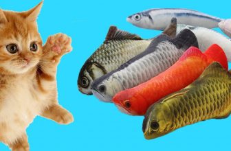 3D Fish Shape Cat Toy
