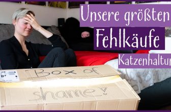 Anti-Haul | Klo, Spielzeug… Fehlkäufe aus 5 Jahren Katzenhaltung