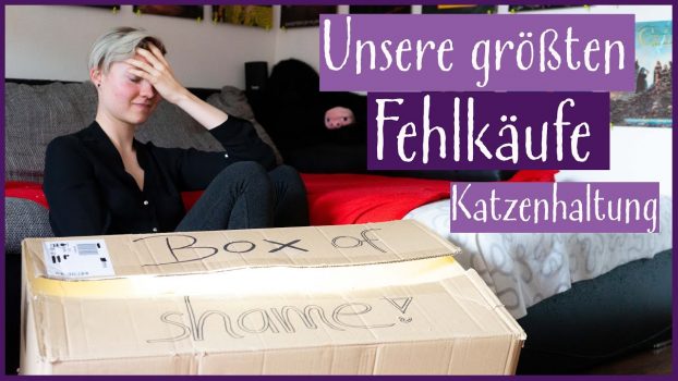 Anti-Haul | Klo, Spielzeug… Fehlkäufe aus 5 Jahren Katzenhaltung