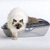 Bama Spa Katzentoilette XXL 60 cm Rattan Optik Katzenklo Katzen Schalen Toilette WC Rand