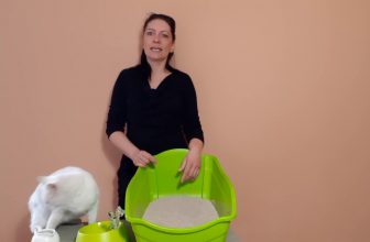 Besseres Streu für Ihre Katzentoilette gesucht? Katzenstreu Test m.Frauchen in der Wohnung Bio-Streu