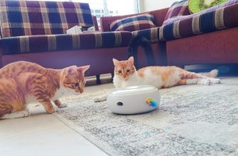 Cat Toy Unboxing: SMART Electric teaser toy