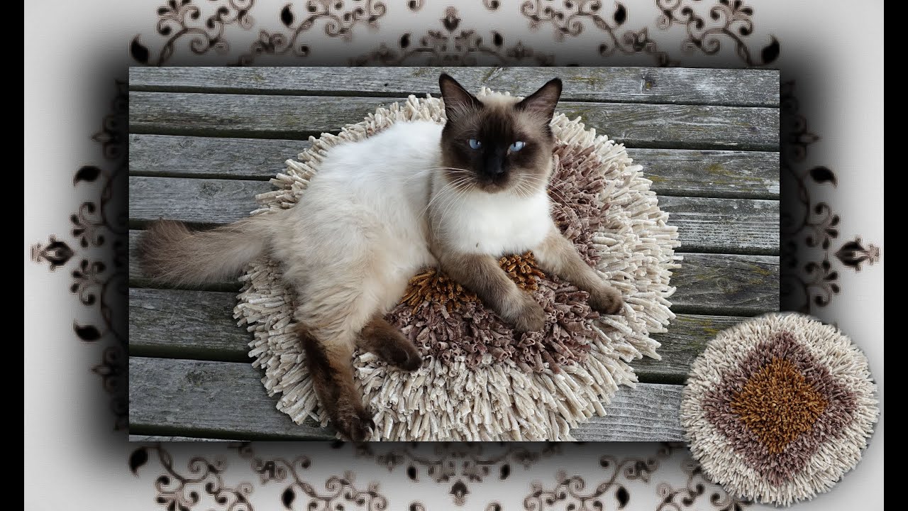 DIY 😻 Vorlege Teppich für Katzentoilette | Cat Litter Mat