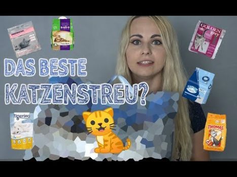 Das beste KATZENSTREU! Katzenstreu-Test | Bentonit, Silikat & Naturfaser Streu für Katzen