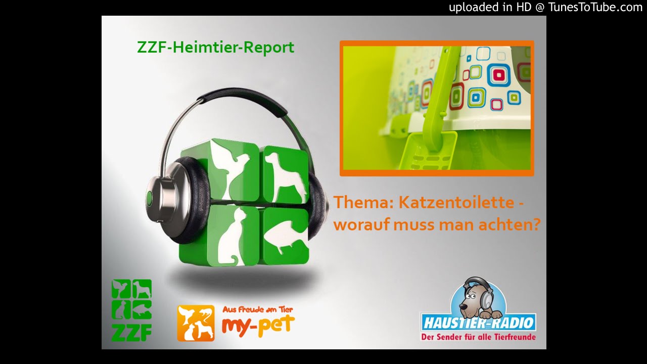 Die Katzentoilette – worauf muss man achten?