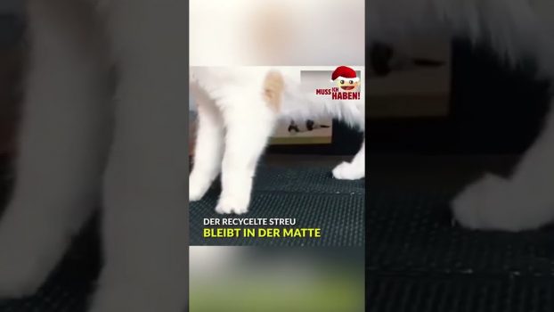 Die geniale Anti-Katzenstreu Matte #shorts #katzen #gadgets