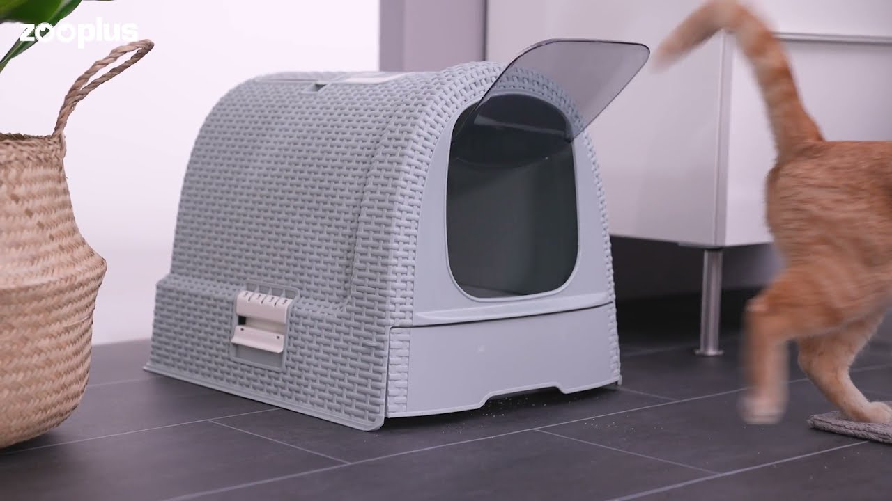 Eco-Friendly Curver Katzentoilette