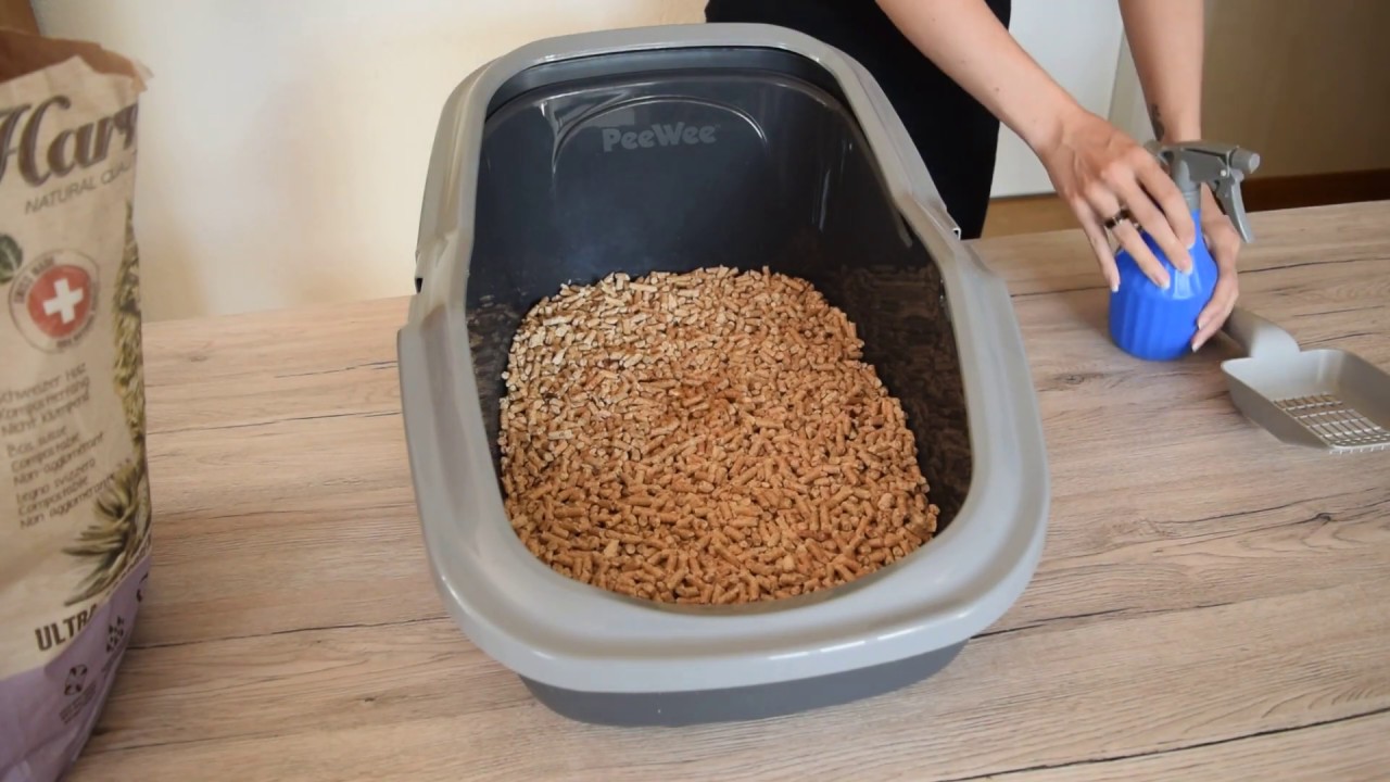 Eigentest: Harmony Katzenstreu Cat Natural Cat Litter