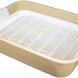 Erste Katzentoilette Schalentoilette Katzenklo - perfekt für Kätzchen Katzenbabys Junge Katzen - WC Tray mit Reinigungssieb - stubenrein auch ohne Katzenstreu - Verfügbar in Grau - Grün - Braun