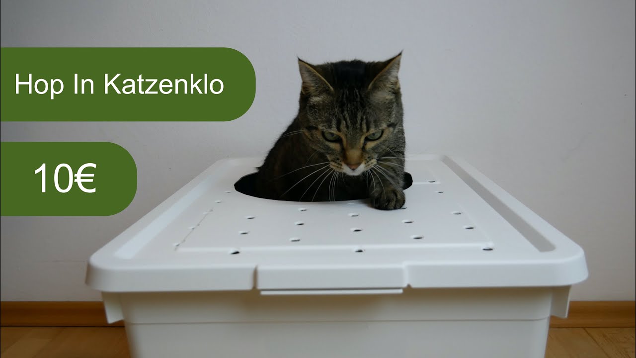 Hop In Katzentoilette für 10€