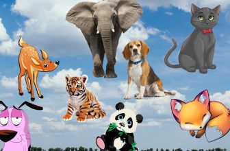 Interesting animal sounds, familiar animals dog, cat, monkey, horse, goat, sheep, elephant