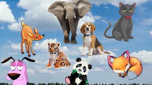 Interesting animal sounds, familiar animals dog, cat, monkey, horse, goat, sheep, elephant