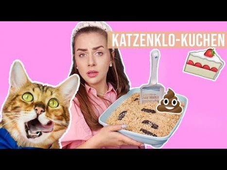 Karneval Food Prank 🙀🍰 🤢 wie schmeckt ein Katzenklo Kuchen 🐱🍴 Amely Rose & CatWalk backen