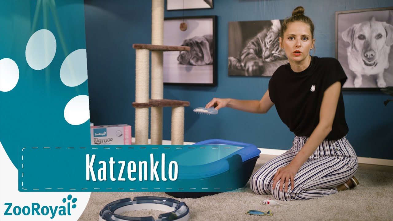 Katzenklo | Rund um die Katz mit Katzenbloggerin Ani | ZooRoyal