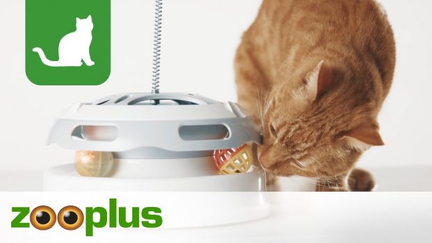 Katzenspielzeug | Katzenkarussell Flashlight | zooplus