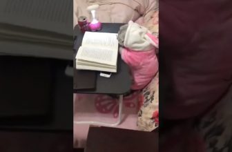 Lesen macht Schlau! / Lustige Katzenvideos #Shorts