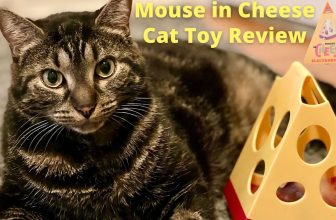 MOUSE IN CHEESE BY FOFOS  cat toy review