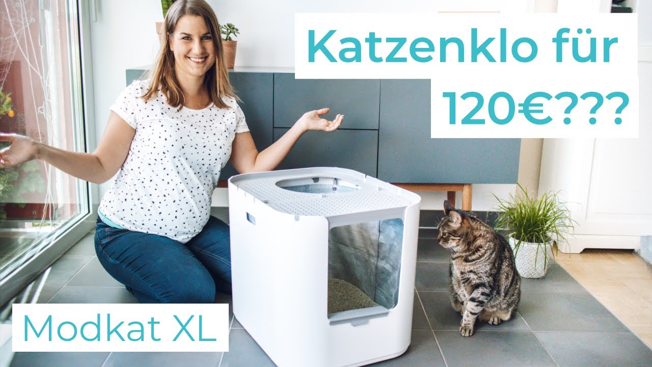Modkat XL Katzenklo – Review und 3-Monats-Test