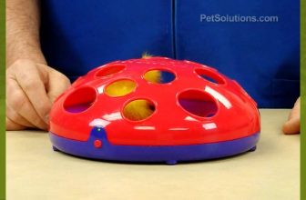 PetSolutions: Kong Glide 'n Seek Cat Toy