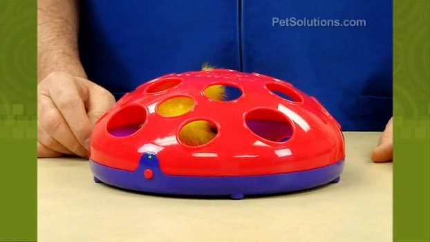 PetSolutions: Kong Glide 'n Seek Cat Toy