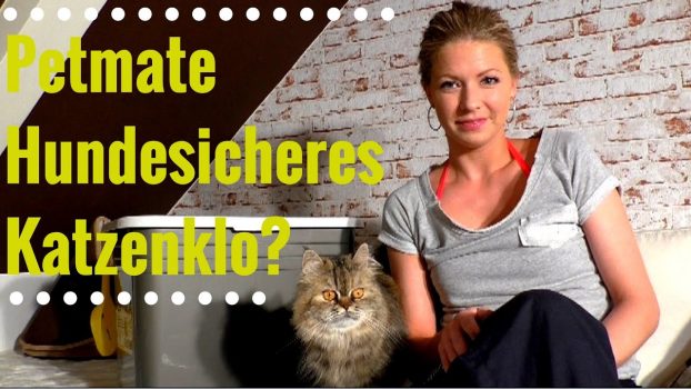 Petmate – Hundesicheres Katzenklo für kleine Hunde
