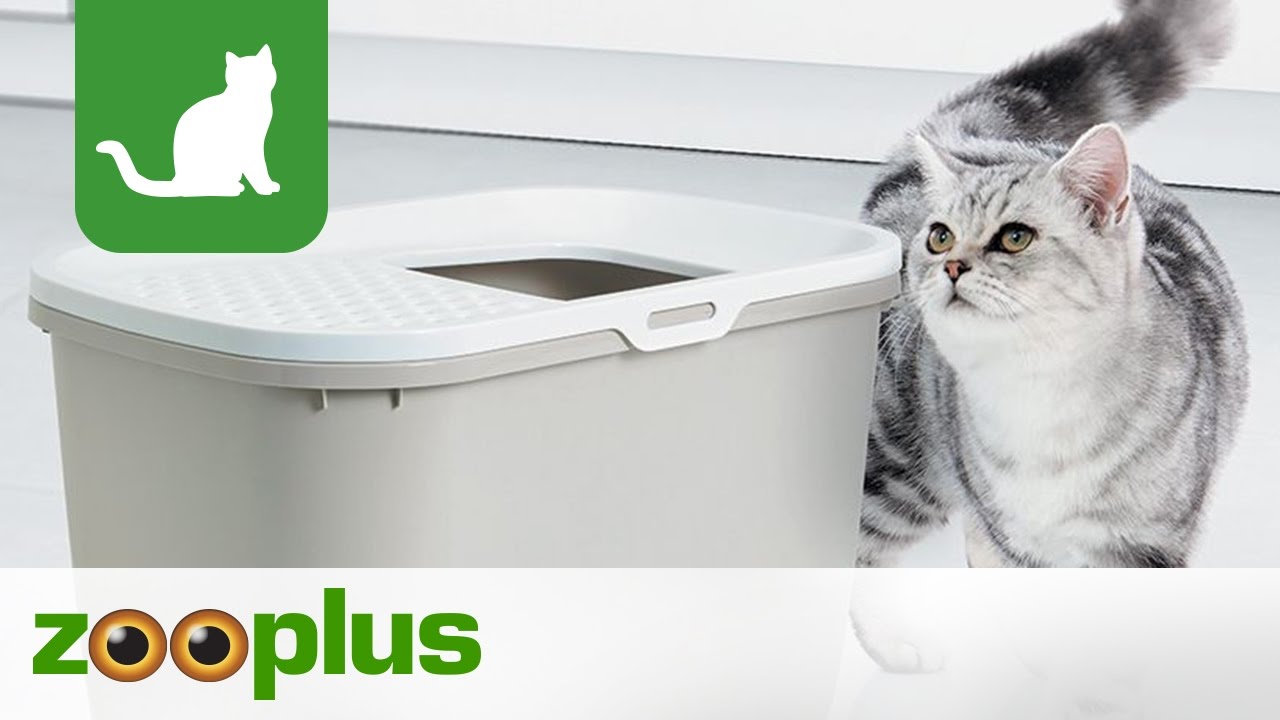 Savic Katzentoilette Hop In | zooplus