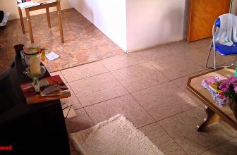 ## Simons Cat Real Life ## – Meine Katze baut Mist!