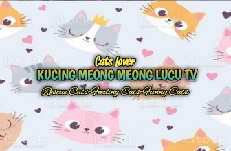 So Cute meowing#shorts