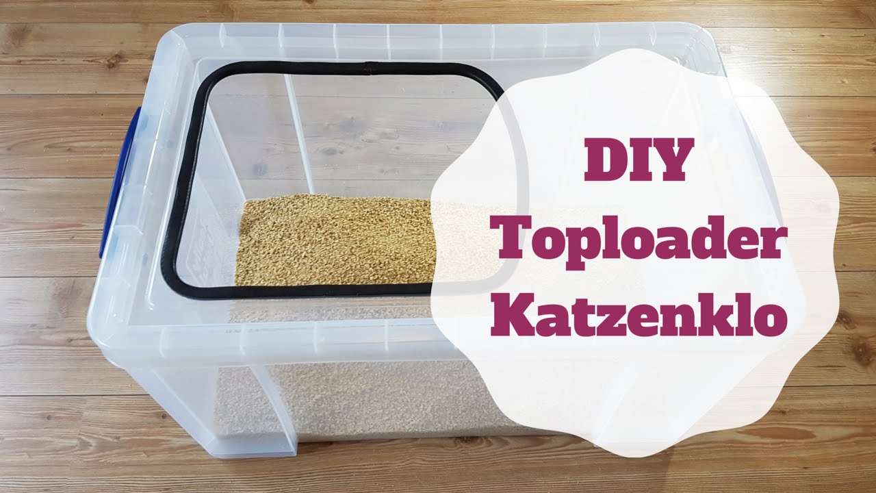 Toploader  Katzenklo selber bauen Tutorial