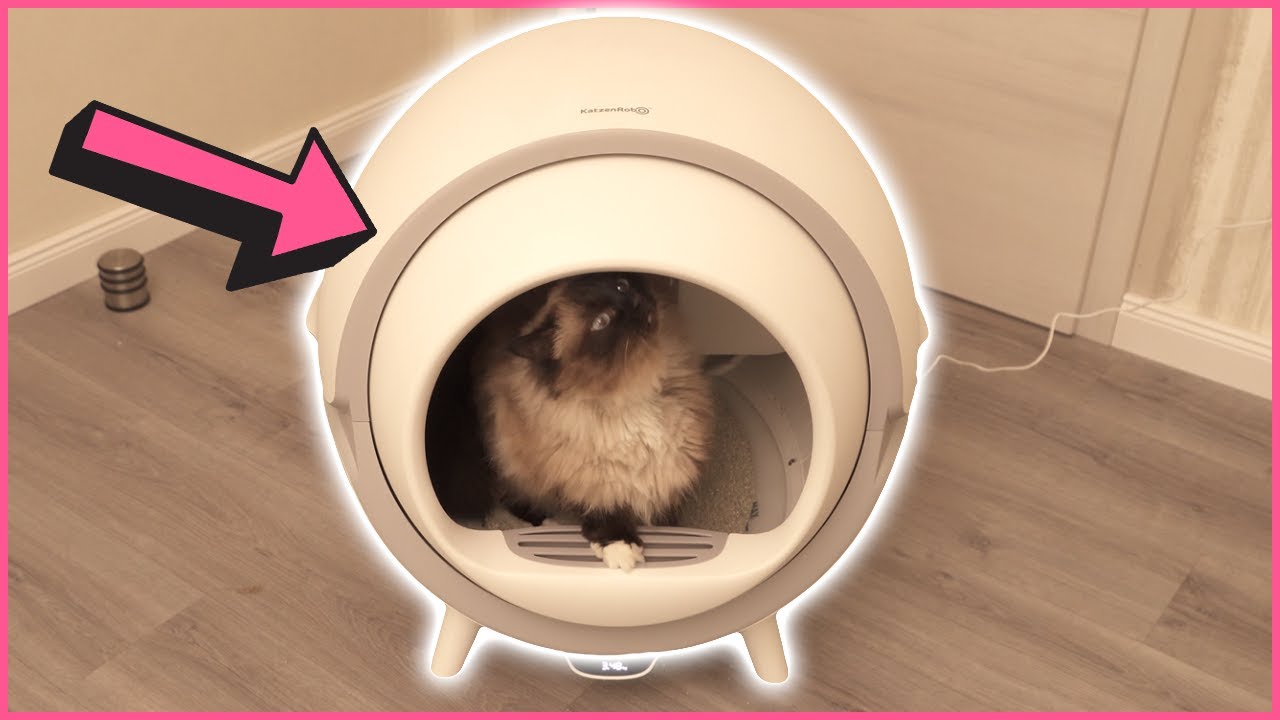 Unsere Erfahrung mit dem KatzenRobo ✅