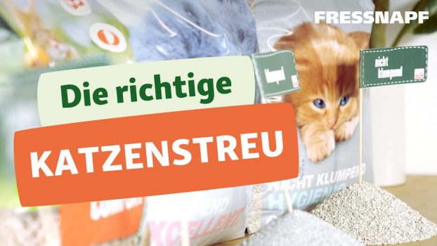 Welche Katzenstreu ist die richtige?