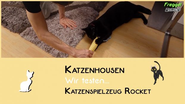 Wir testen Katzenspielzeug: Rocket