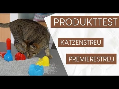 😻 im Test | Katzenstreu PREMIERE Excellent Klumpstreu und Pearls Deodorant Babypuder