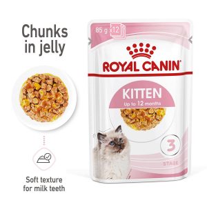 ROYAL CANIN KITTEN Nassfutter in Gelee für Kätzchen 48x85g