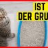 Das teuerste Katzenklo der Welt im Produkttest mit Petra Ott der Katzenflüsterin