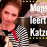 Die Katzentoilette – worauf muss man achten?