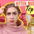 Katzenklo verstecken | Ideen & Tipps ✅